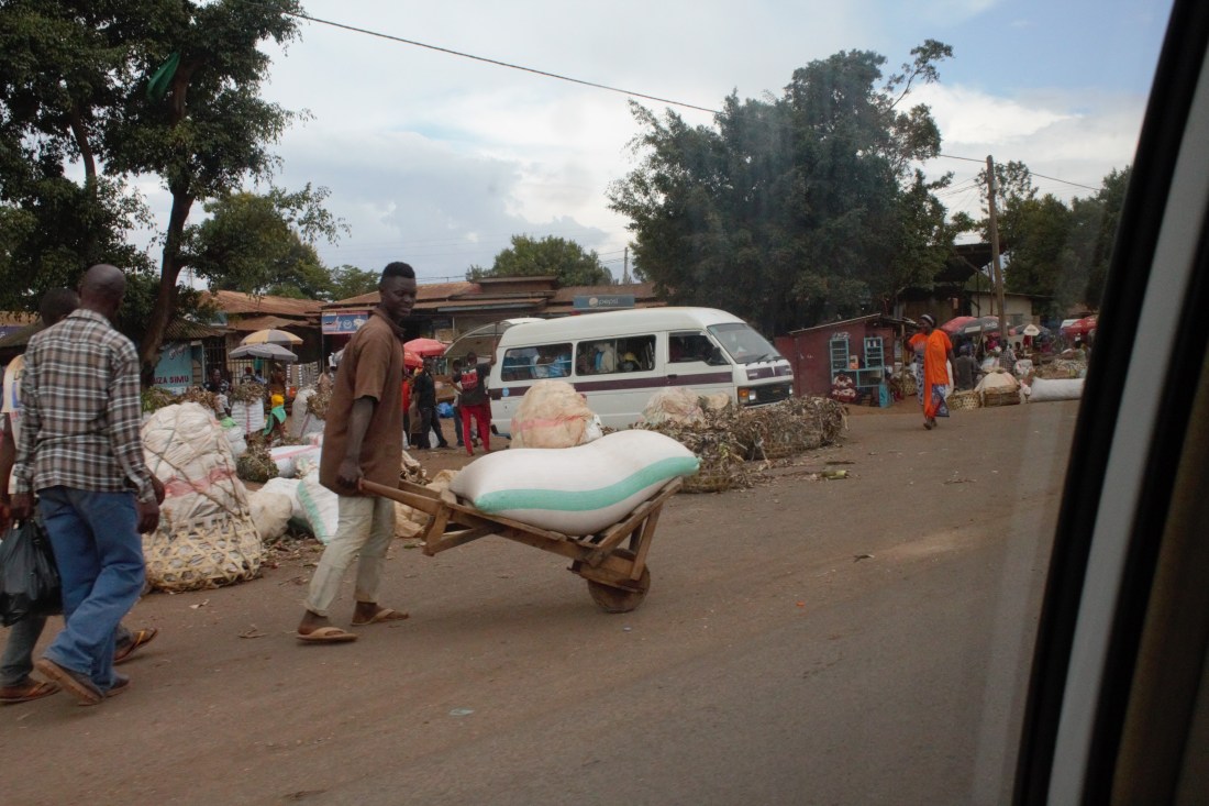 IMG_2479.JPEG (2).jpg